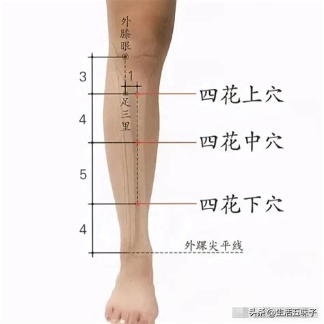 四花上穴|各位同学大家好，今天给大家分享的是董氏针灸四花上。